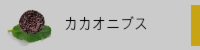 カカオニブス