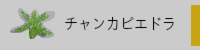 チャンカピエドラ