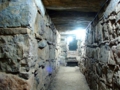 chavin 9.gif