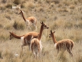 Huascaran 3.gif