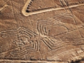 nasca 7.gif