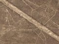 nasca 92.gif